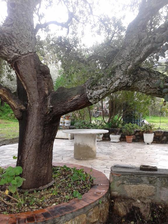 B&B La Quercia San Gregorio  外观 照片