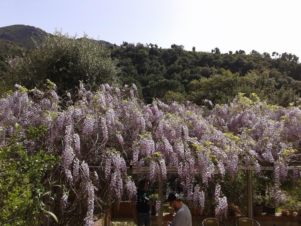 B&B La Quercia San Gregorio  外观 照片
