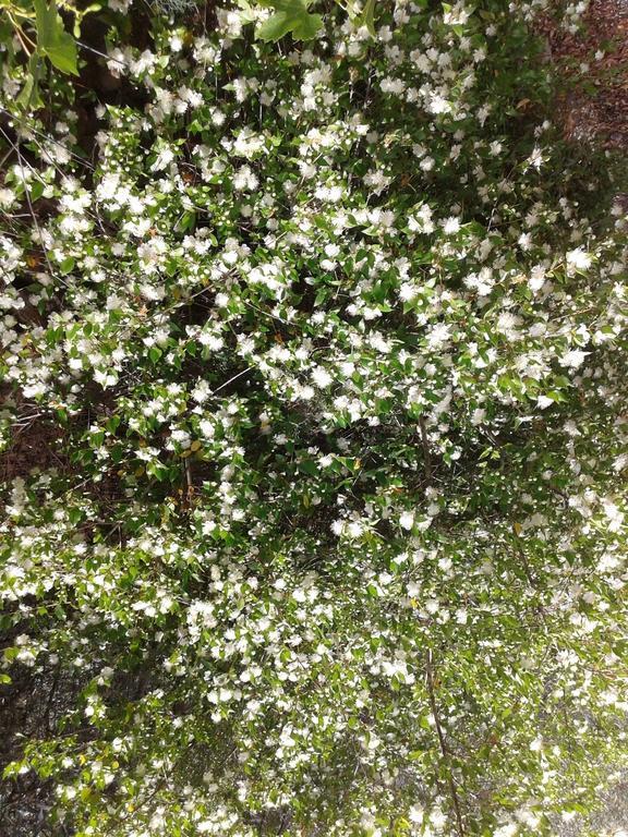 B&B La Quercia San Gregorio  客房 照片