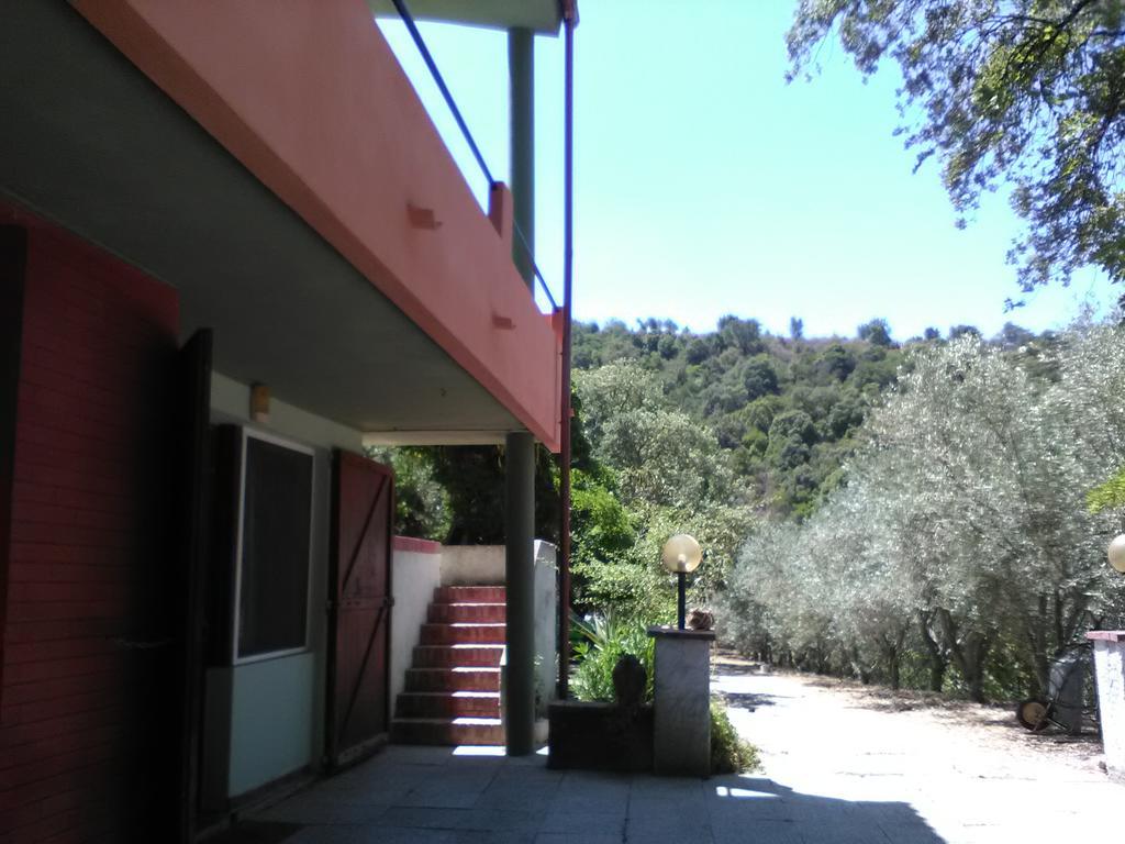 B&B La Quercia San Gregorio  外观 照片