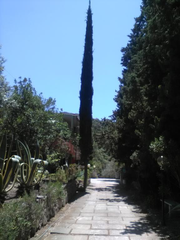 B&B La Quercia San Gregorio  外观 照片